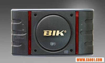 BIK BS998卡拉OK音箱批发 专业音响设备的高性价比选择